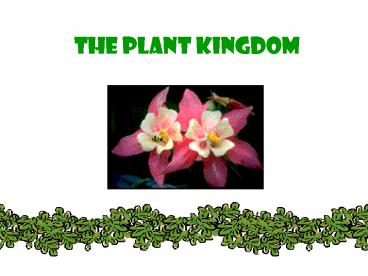 THE PLANT KINGDOM