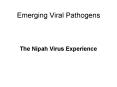 Emerging Viral Pathogens PowerPoint PPT Presentation