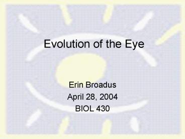Evolution of the Eye
