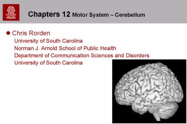 Chapters 12 Motor System Cerebellum