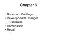 Bones and Cartilage PowerPoint PPT Presentation