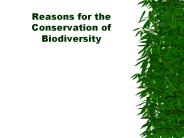 Reasons for the Conservation of Biodiversity
