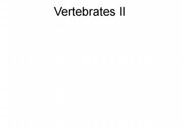 Vertebrates II