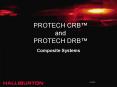 PROTECH CRB PowerPoint PPT Presentation