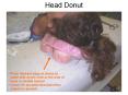 Head Donut PowerPoint PPT Presentation