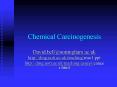 Chemical Carcinogenesis PowerPoint PPT Presentation