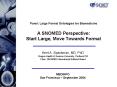 Panel: Large Formal Ontologies for Biomedicine A SNOMED Perspective: Start Large, Move Towards Forma PowerPoint PPT Presentation