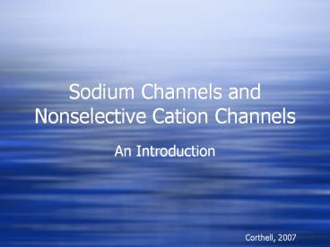 Sodium Channels and Nonselective Cation Channels