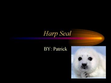 presentation player overlay