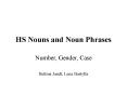 HS Nouns and Noun Phrases PowerPoint PPT Presentation