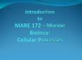 Introduction to MARE 172Marine Biology: Cellular Processes PowerPoint PPT Presentation