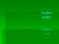 Garden spider PowerPoint PPT Presentation
