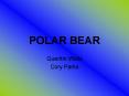 POLAR BEAR PowerPoint PPT Presentation