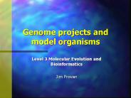 Genome projects and model organisms