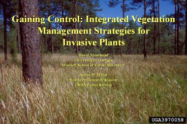 Gaining Control: Integrated Vegetation Management Strategies for