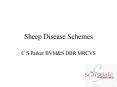 Sheep Disease Schemes PowerPoint PPT Presentation