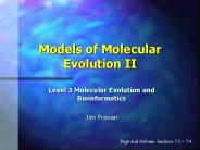 Models of Molecular Evolution II
