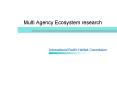 Multi Agency Ecosystem research PowerPoint PPT Presentation