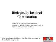 Biologically Inspired Computation