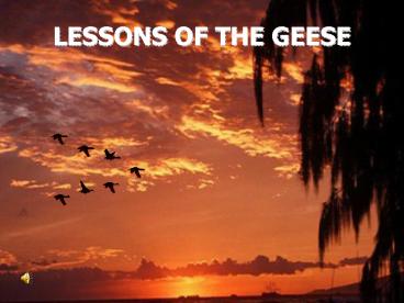 LESSONS OF THE GEESE