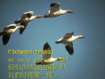 Sin ttulo de diapositiva