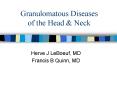 Granulomatous Diseases of the Head PowerPoint PPT Presentation
