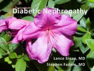 Diabetic%20Nephropathy