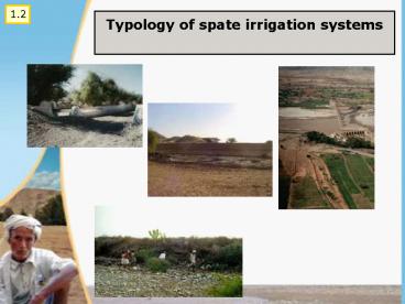 Typology of spate irrigation systems