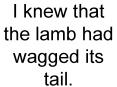I knew that the lamb had wagged its tail. PowerPoint PPT Presentation
