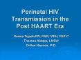 Perinatal HIV Transmission in the Post HAART Era PowerPoint PPT Presentation