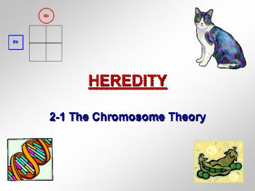 HEREDITY