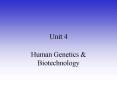 Human Genetics PowerPoint PPT Presentation