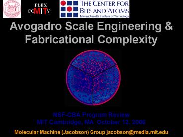 Predicated assembly and biomimetics in micro/nano-manufacture