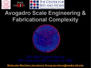Predicated assembly and biomimetics in micro/nano-manufacture