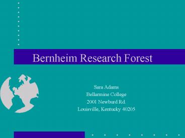Bernheim Research Forest