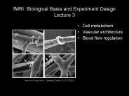 fMRI: Biological Basis and Experiment Design Lecture 3