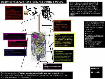 Digestive system Quiz Name Hailey Andler Date3606 Cl C