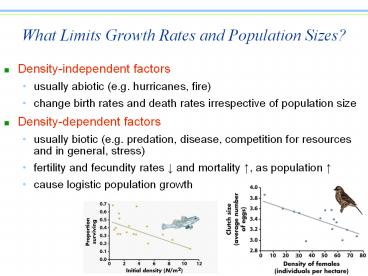 What Limits Growth Rates and Population Sizes?
