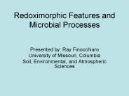 Redoximorphic Features and Microbial Processes