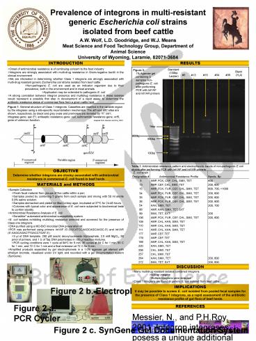 A'W' Wolf, L'D' Goodridge, and W'J' Means