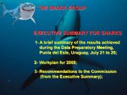 THE SHARK GROUP
