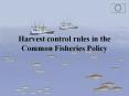 Harvest control rules in the Common Fisheries Policy PowerPoint PPT Presentation