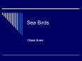 Sea Birds PowerPoint PPT Presentation
