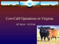 CowCalf Operations in Virginia PowerPoint PPT Presentation