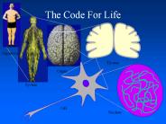 The Code For Life