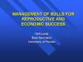MANAGEMENT OF BULLS FOR REPRODUCTIVE AND ECONOMIC SUCCESS PowerPoint PPT Presentation