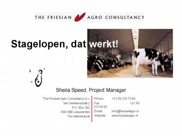 Sheila Speed, Project Manager