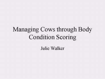 Managing Cows through Body Condition Scoring