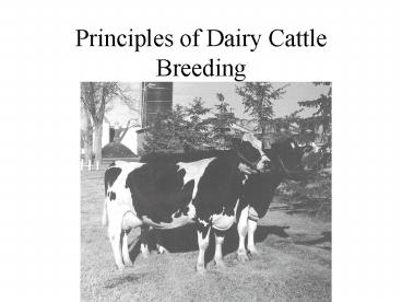 Principles of Dairy Cattle Breeding
