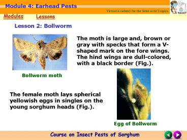 presentation player overlay